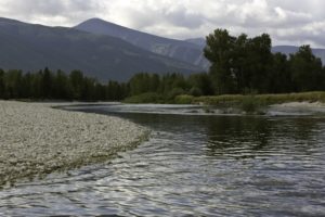 Fly fishing the Bitterroot river near Missoula, Montana.
