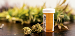Marijuana buds next to a prescription bottle, medical marijuana