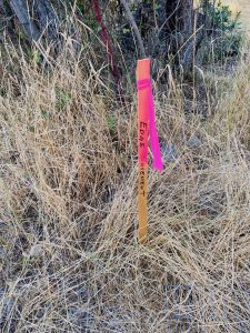 Property boundary marker, colored flag on a wooden stick driven into the ground, Good Fences Make Good Neighbors - Worden Thane Real Estate Blog - Edge Easement