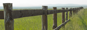 Good Fences Make Good Neighbors - Worden Thane Real Estate Blog