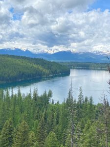 scenic view of Montana river and forest