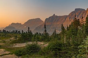 Scenic view of forest and mountains in Glacier National Park, Creditl Christopher Zarriello via Unsplash