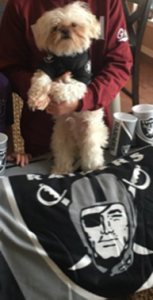 tiny dog