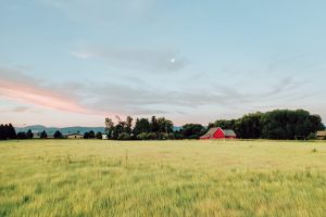 The Montana Property Tax Rebate: Does It Affect Your Property Taxes? | Worden Thane