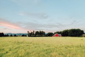 Rural Montana homestead real estate, Montana property taxes
