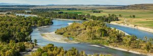 Water Law