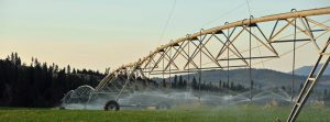 water Law